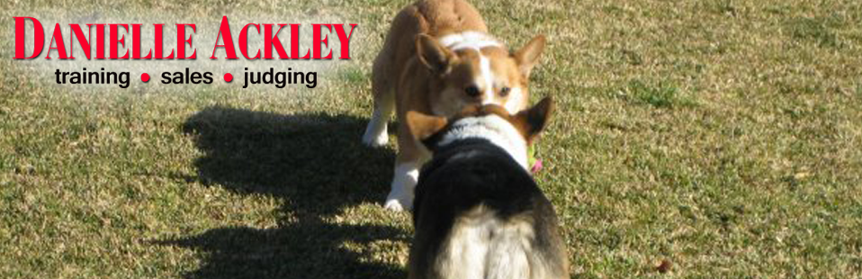 Danielle Ackley - Training, Sale, Management